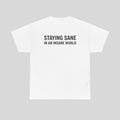 STAYING SANE - Empty Barrel
